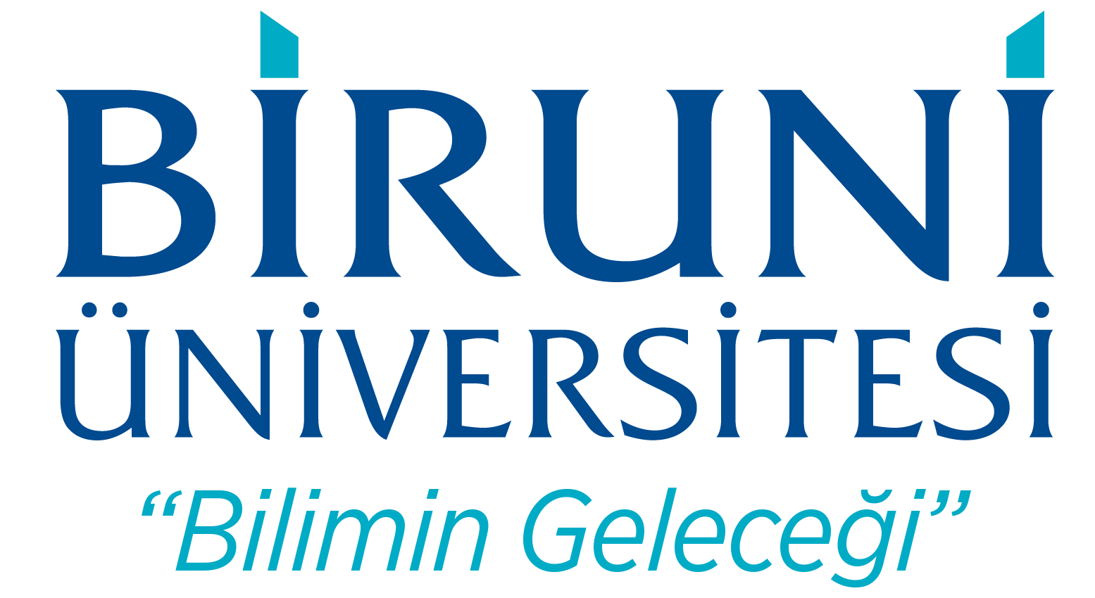 Biruni Üniversitesi